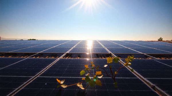 Top raisons d'adopter l'énergie photovoltaïque pour l'environnement